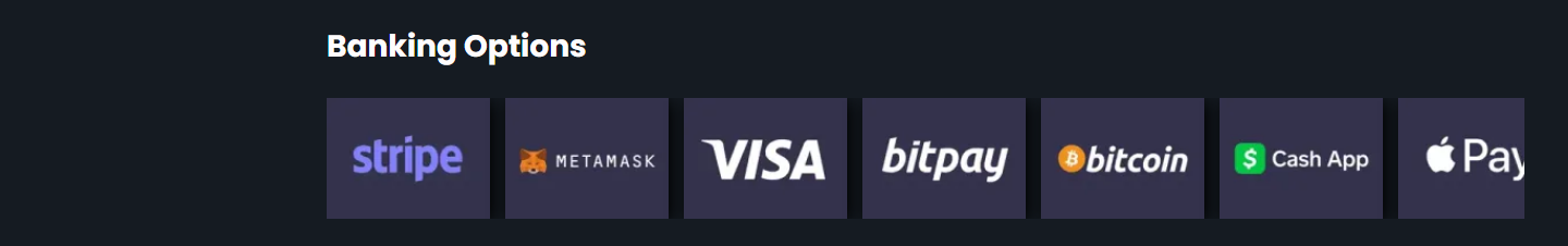 Der Streifen "Banking Options" auf rocky.casino: eine Reihe Zahlungslogos ohne jeden Text unter der Überschrift